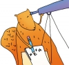 松鼠通过望远镜观察的插图