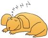 睡狗插图